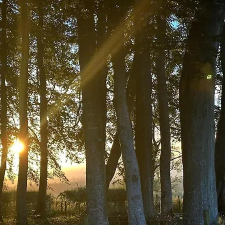 Lejlighed Herdie Hideaway - Shepherds Hut