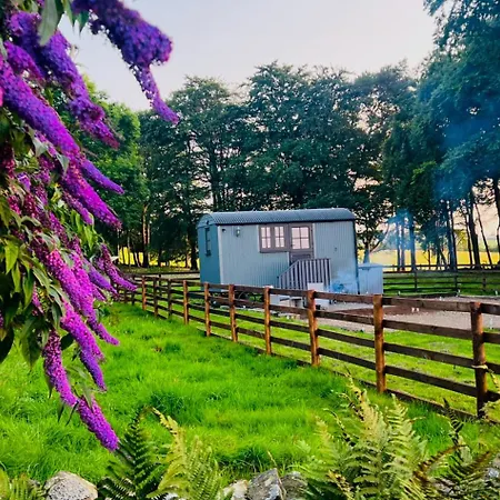 Herdie Hideaway - Shepherds Hut *