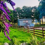 Herdie Hideaway - Shepherds Hut *